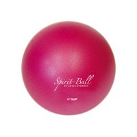 Мяч для пилатес - купить в интернет магазине Sportaim