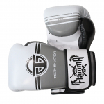 Перчатки для бокса FLAMMA TERMINATOR 2 .0