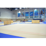 Соревновательный ковер для художественной гимнастики Atlet,14 х 14м., толщина 10 мм. 
