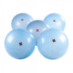 Гимнастические мячи BOSU Ballast Ball, комплект, 5 шт.