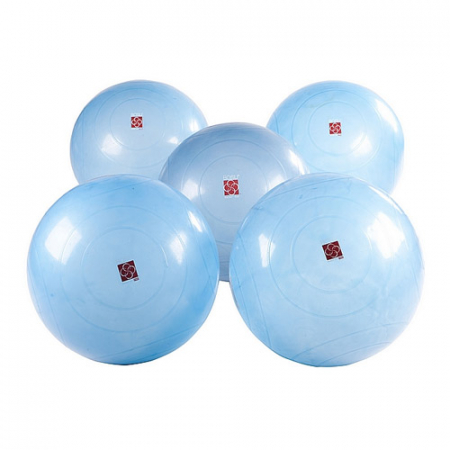 Гимнастические мячи BOSU Ballast Ball, комплект, 5 шт.