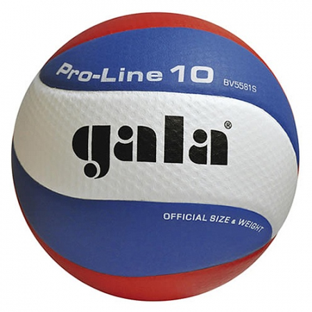 Мяч волейбольный матчевый GALA Pro-Line 10 р.5