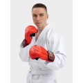 Перчатки для рукопашного боя Рэй-Спорт FIGHT-2 иск. кожа
