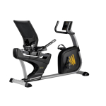 Велотренажер Hasttings WEGA RS400