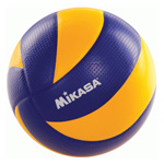 Товары для волейбола - купить недорого в интернет магазине Sportaim